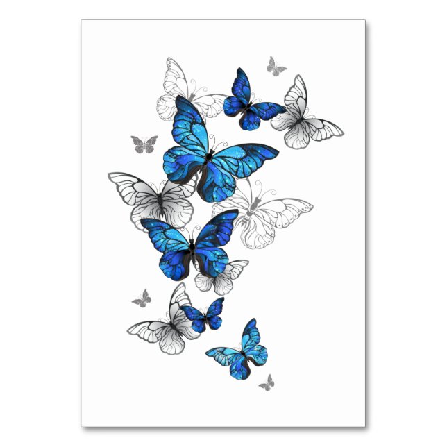Blaue fliegende Schmetterlinge Morpho Tischnummer (Vorderseite)