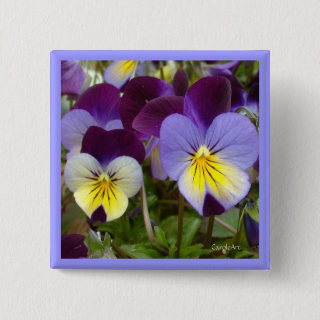 blaue gelbe lila Violas 7a Button (Vorderseite)