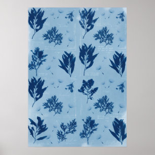 Blaue gepresste Seetang-Cyanotypie Küstenmuster Poster