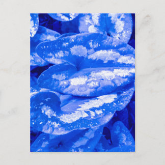 Blaue getönte Blätter künstlerische Nahaufnahme Postkarte