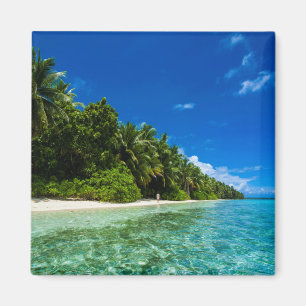 Blaue Gewässer eines tropischen Strandes Magnet