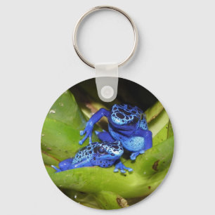 Blaue Gift-Pfeil-Frösche in Blatt 1 Schlüsselanhänger