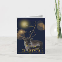 Blaue & Goldene Weihnachtsgrußkarte (4 Seiten)
