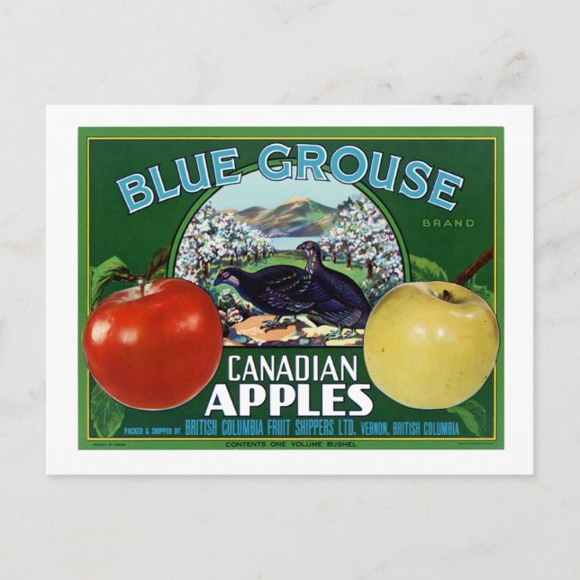 Blaue Grouse Canadian Äpfel Postkarte (Vorderseite)