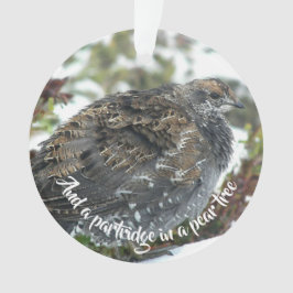 Blaue Grouse im Schneeschuhwandern Ornament