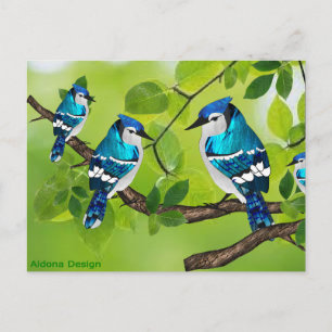 Blaue Häher auf einem Ast Postkarte