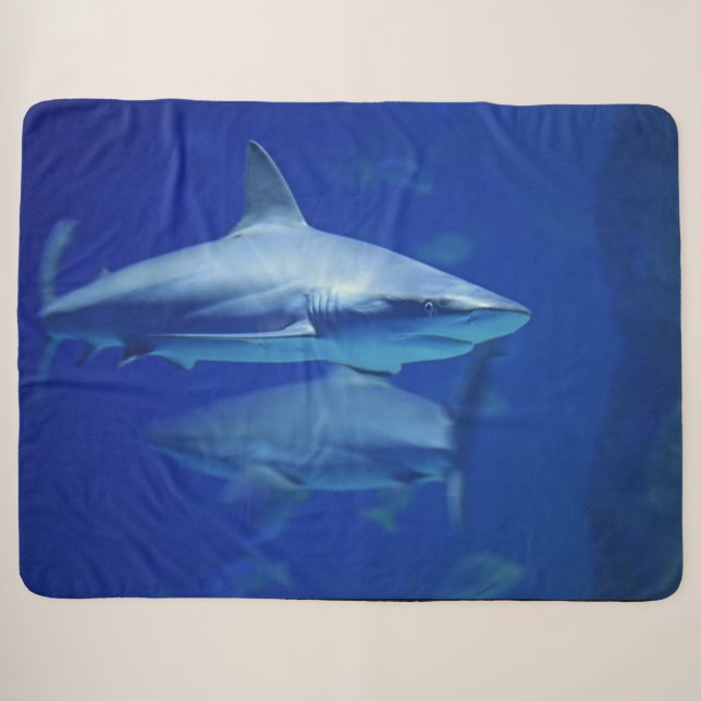 BLAUE HAIFISCHE SHERPADECKE (Vorderseite (Horizontal))