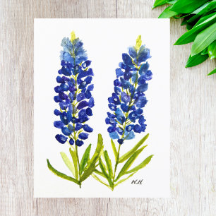 Blaue Hauben Texas State Blumen Lupine Aquarell  Postkarte