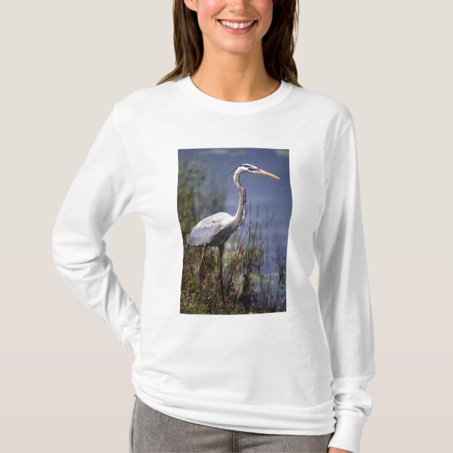 Blaue Herbergsvogel T-Shirt (Vorderseite)