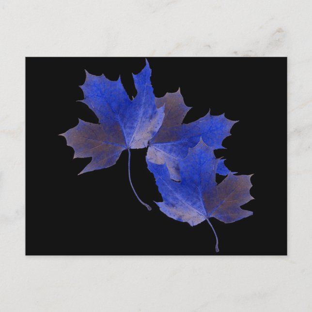 Blaue Herbstblätter Postkarte (Vorderseite)
