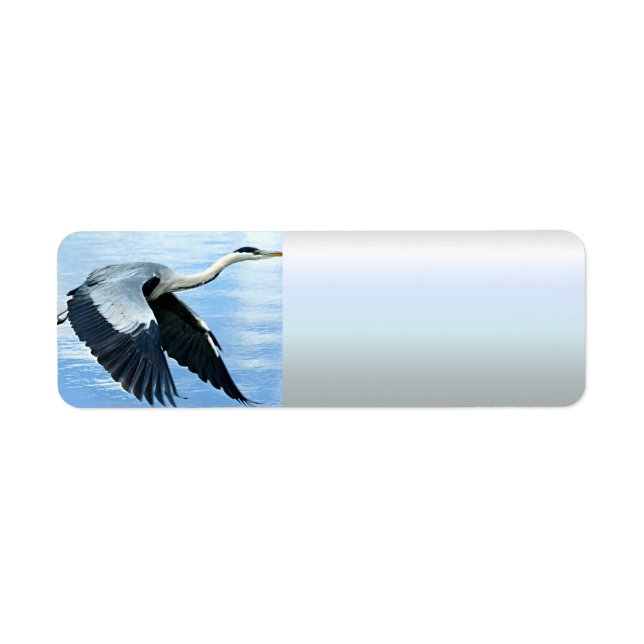 Blaue Herde im Flug über Wasser (Vorne)