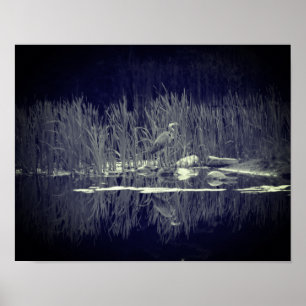 Blaue Herde-Reflections Bird Black and White Poster
