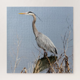 Blaue Heron- und Feuchtgebiete in den westlichen H