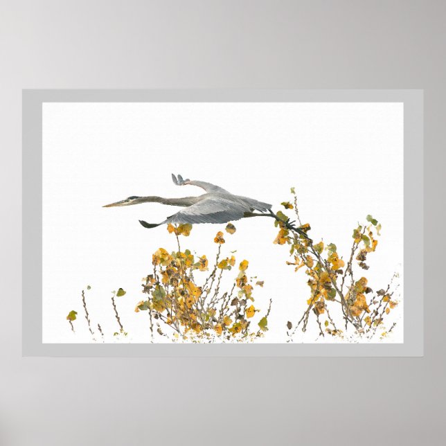 Blaue Heron Vögel Wildtiere Poster (Vorne)