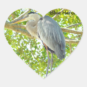 Blaue Heronvogel Herzsticker Herz-Aufkleber