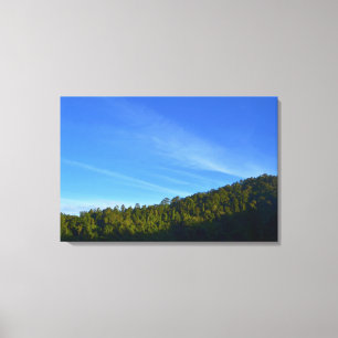Blaue Himmel Grün Wald Weiße Wolkenschatten Foto Leinwanddruck