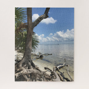 Blaue Himmelswolken, Blaues Meer, Driftwood Beach