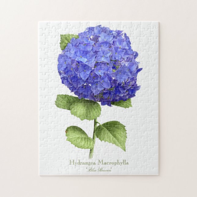 Blaue Hortensie (Vertikal)