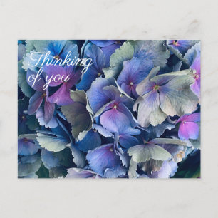 Blaue Hortensien-Blumen Ich denke an Dich Postkart Postkarte