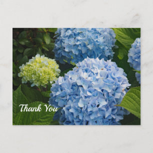 Blaue Hortensien-Foto Danke Postkarte