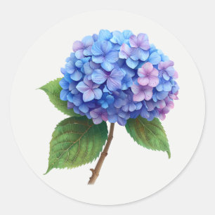 Blaue Hortensien-Gartenblume Florale Kunst Rosa Runder Aufkleber