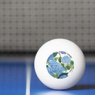 Blaue Hortensien Schöner Blütenstrauch Tischtennisball
