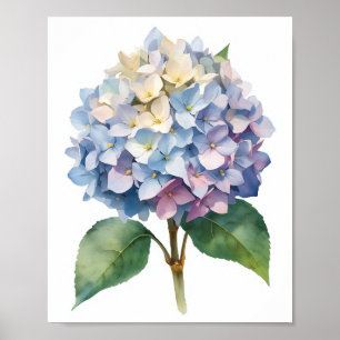 Blaue Hortensien-Wasserfarben-Botanik-Wandkunst Poster