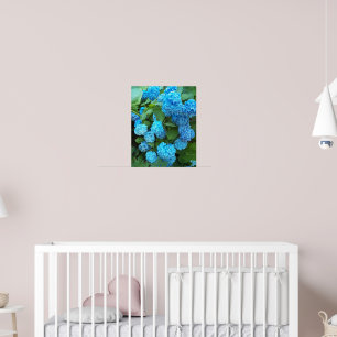 Blaue Hortensienblüten Florale Fotografie Poster