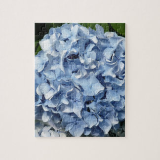 Blaue Hydrangea-Blume