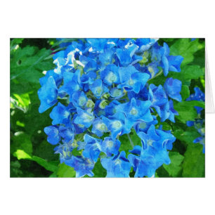 Blaue Hydrangea-Blume. Blumenfotografie.