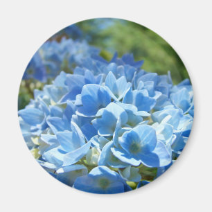 Blaue Hydrangea-Blume Magnet Floral Nature