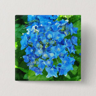 Blaue Hydrangea-Blume und ihre grünen Blätter Button
