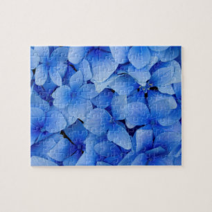 Blaue Hydrangea-Blumen