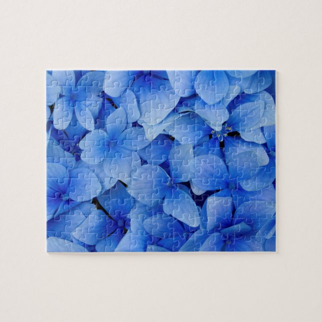 Blaue Hydrangea-Blumen (Horizontal)