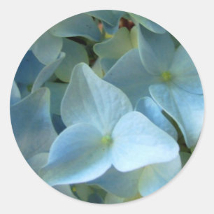 Blaue Hydrangea-Blumen-BlumenBlumen-Foto Runder Aufkleber