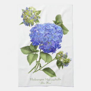Blaue Hydrangeas Handtuch