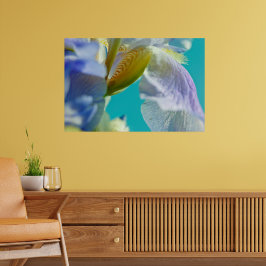 Blaue Iris, blaue Himmelskanzüge Poster