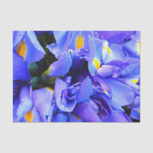 Blaue Iris-Blume Seidenpapier