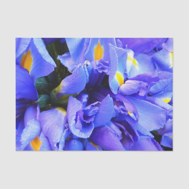 Blaue Iris-Blume Seidenpapier (Vorderseite)
