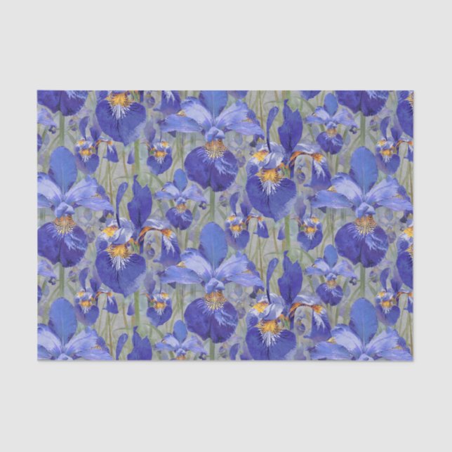 Blaue Iris-Blumenmuster Seidenpapier (Vorderseite)