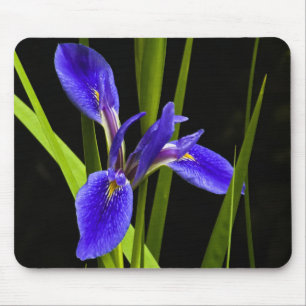 Blaue Iris Mousepad