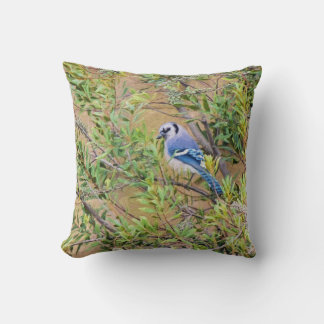 Blaue Jay auf Myrtle aus Südwax Kissen