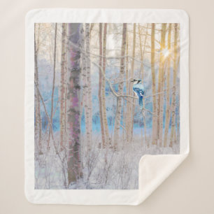 Blaue Jay Bird in Forest Nature Art Sher Sherpadecke