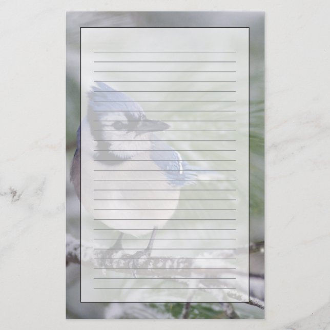 Blaue Jay, Cyanocitta cristata Briefpapier (Vorderseite)