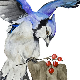Blaue Jay Dankeskarte