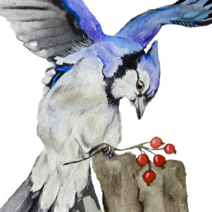 Blaue Jay Gepäckanhänger