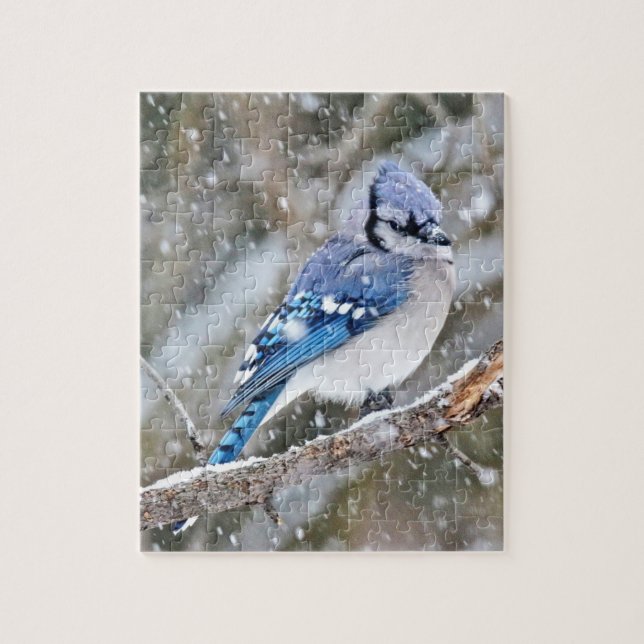 Blaue Jay im Schneesturm (Vertikal)