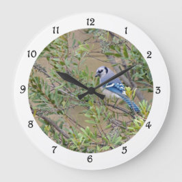 Blaue Jay im südlichen Wachswald Myrtle Wall Clock Große Wanduhr