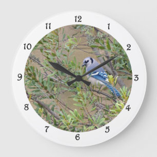 Blaue Jay im südlichen Wachswald Myrtle Wall Clock Große Wanduhr