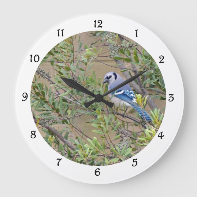 Blaue Jay im südlichen Wachswald Myrtle Wall Clock Große Wanduhr (Vorderseite)